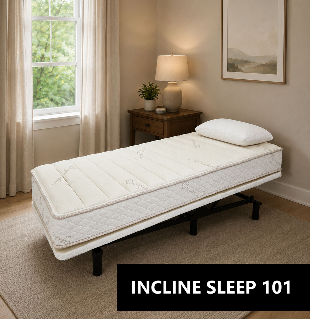 Single adjustable bed in a beige bedroom with a nightstand lamp plant and a window with curtains